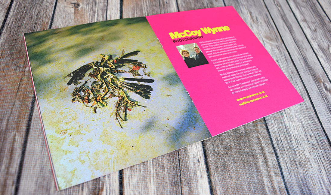 Liverpool-Art-Prize-detail